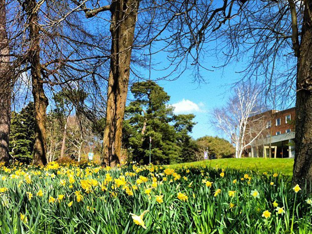 University Of Exeter - Pennsylvania Court Экстерьер фото