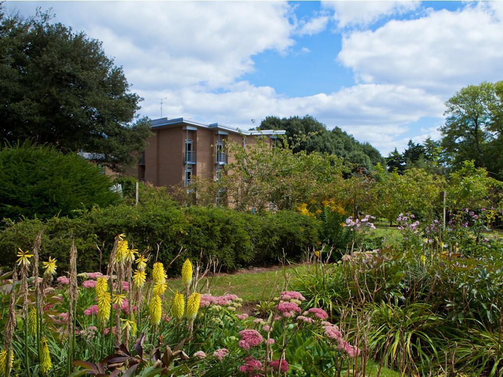 University Of Exeter - Pennsylvania Court Экстерьер фото